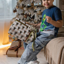 Платон Збарский  - фото № 6